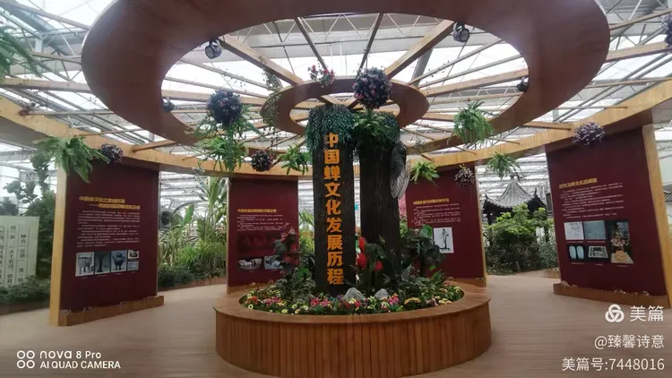 河北省故城县以岭康养庄园之中国金蝉文化馆